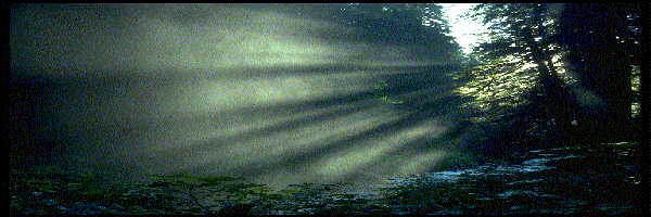 http://home.comcast.net/~dreherm_98/Beauty_files/image002.jpg